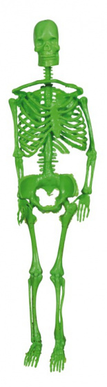 Fiestas Guirca závesná dekorácia kostra 34 cm polyester zelená