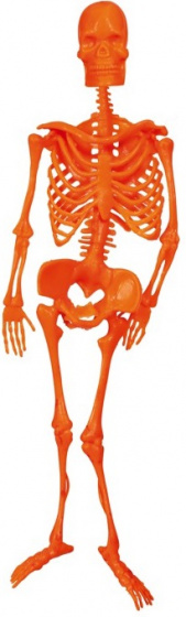 Fiestas Guirca závesná dekorácia kostra 34 cm polyester oranžová