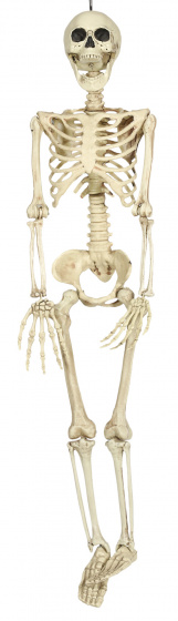 Fiestas Guirca nástenná dekorácia kostra 90 cm PVC biela