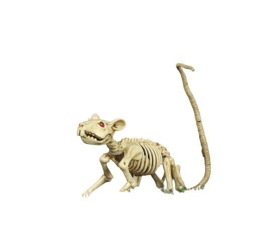 Fiestas Guirca dekorácia kostra potkana 20 cm PVC biela