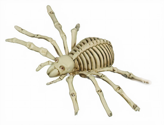 Fiestas Guirca ozdobná kostra pavúk 24 cm PVC biela