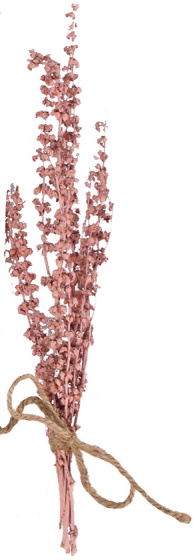 Gifts Amsterdam sušené kvety Hangboeket sušený kvet 40 cm ružový