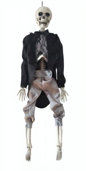 Haza Original ozdobná kostra nevesty 42 cm