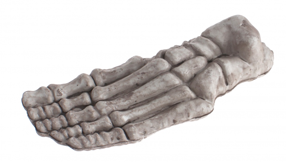 Haza Original ozdoba kostra stupacka 19 x 7 x 5 cm