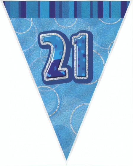 Haza Original čiara vlajky "21" 274 cm modrá