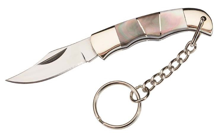 pocket knife 8.8 cm stainless steel/steel silver