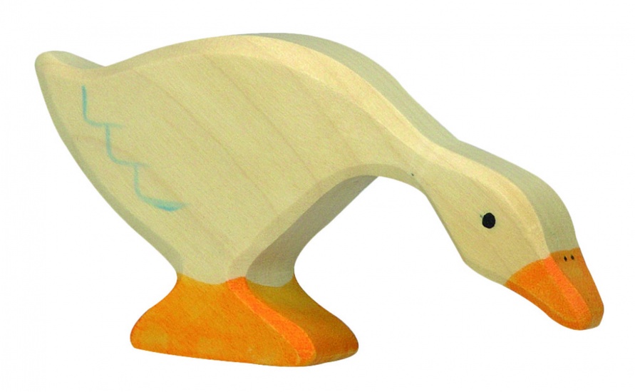 Wood Eating Goose