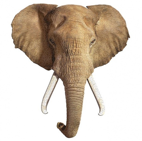 puzzle elephant grey 700 pieces