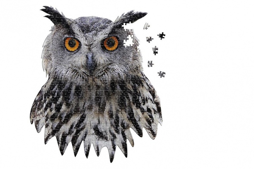 puzzle owl grey 550 pieces