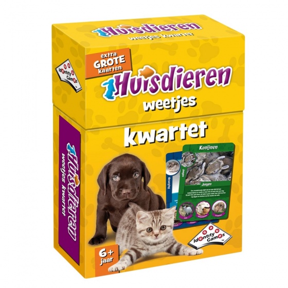 Identity Games Pet kvarteto