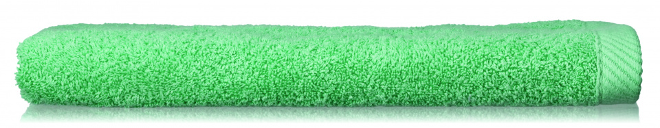 Kela uterák pre hostí Ladessa 50 x 30 cm bavlna svetlozelená