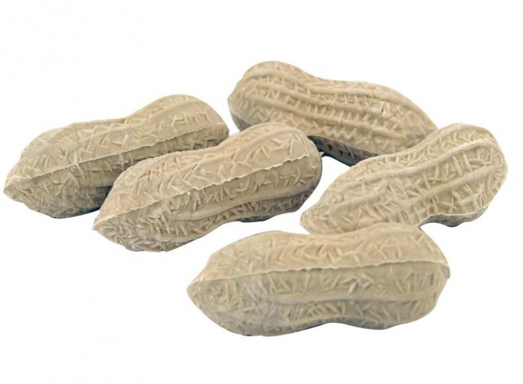 Kikkerland gum pinda rubber bruin 4 stuks