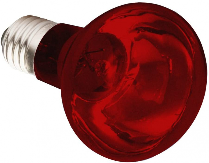 Komodo infračervená tepelná lampa 75 watt