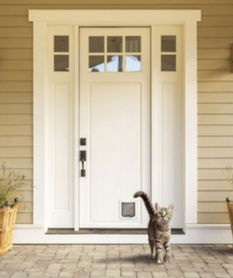 cat flap options