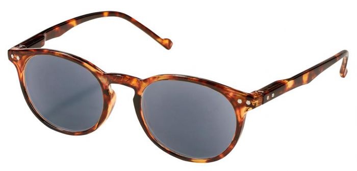 Moses Libri_x Read sunglasses Stylestrength +2,50 brown