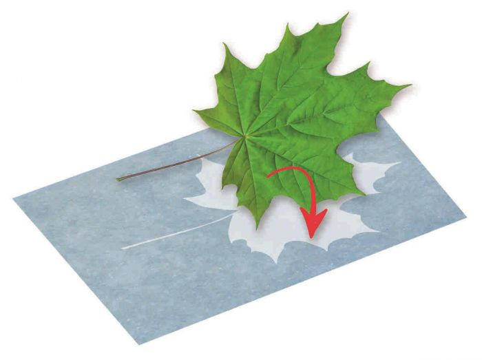 Moses zonafdrukpapier junior 17,8 x 12,9 cm blauw 10 stuks