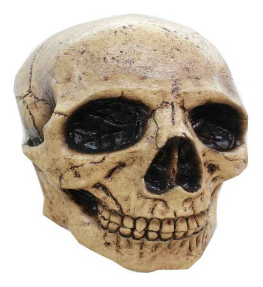 Partychimp pleťová maska Skull Tan 3 latexová slonová kosť biela jednovel