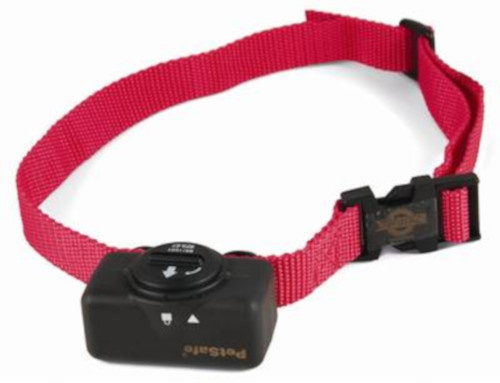 internet shock collar