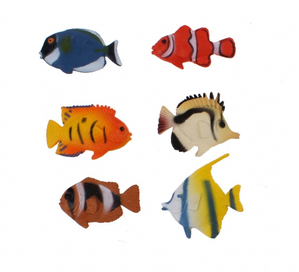 fish Wonder World of Nature 6-piece orange