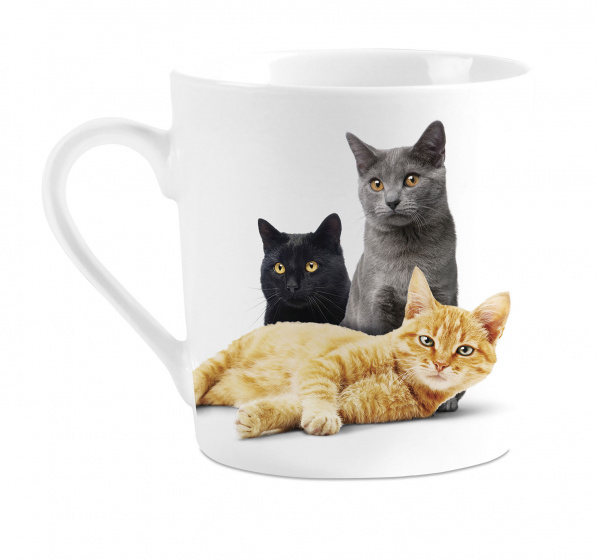 Plenty Gifts hrnček I love cats 240 ml porcelánový biely