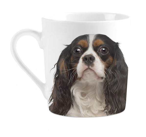 Plenty Gifts hrnček I love Cavaliers 240 ml porcelánový biely