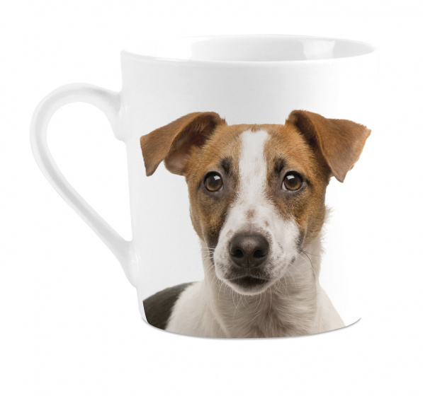 Plenty Gifts hrnček I love Jack Russel 240 ml porcelánový biely