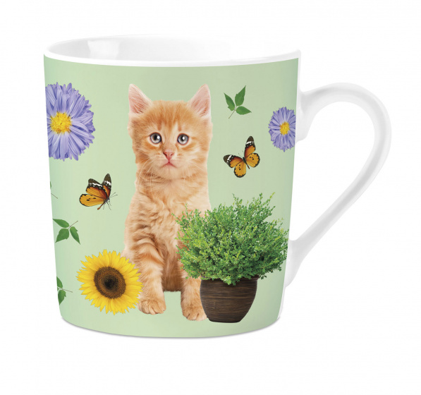 Plenty Gifts hrnček Tabby Kitten 240 ml porcelánový biely