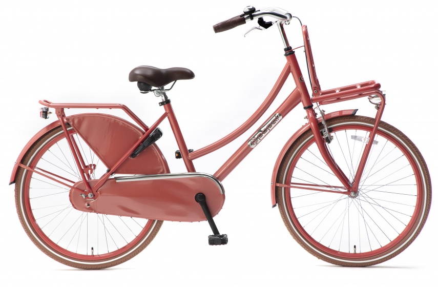 Popal daily dutch basic 24 inch 42 cm meisjes terugtraprem rood
