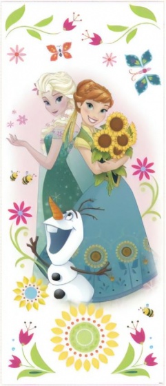 wallstickers Frozen vinyl 6 pieces