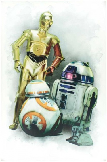 wall stickers Star Wars VII vinyl 63,5 x 97 cm