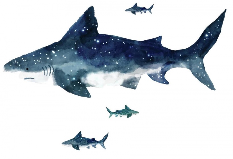 wall stickers xl Shark vinyl 6 pieces