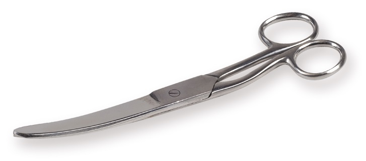 trimming scissors horses stainless steel silver