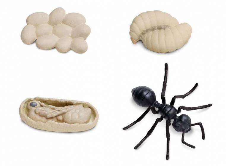 Safari speelfiguren levenscyclus van een mier beige/zwart 4 delig