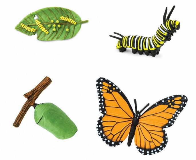 Safari speelset levenscyclus monarchvlinder junior 4 delig