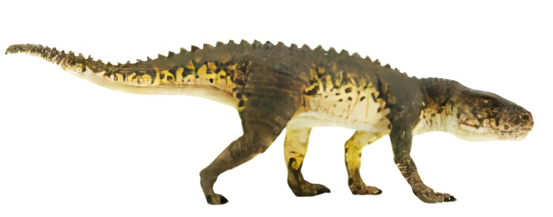 Safari hracie zvieratko dinosaurus postosuchus junior 19 x 5 cm zelený