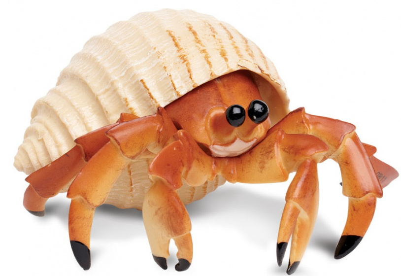 Safari hracie zvieratko krab pustovník 12 cm oranžová/biela