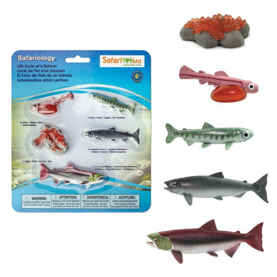 Safari speelfiguren levenscyclus van een zalm junior 5 delig