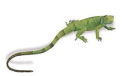 Safari hracie zvieratko mláďa leguána 35 cm zelené