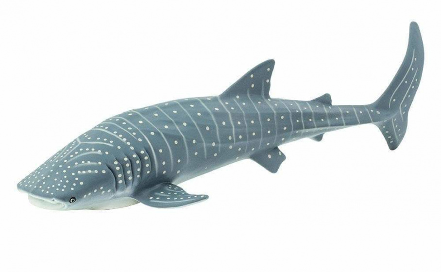 Safari zeedieren walvishaai junior 23,5 cm grijs