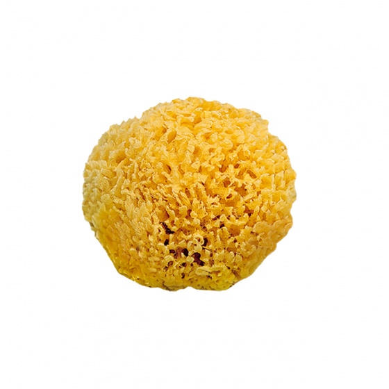 bath sponge natural yellow