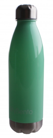 drinking bottle  MyBento 650 ml green/chrome