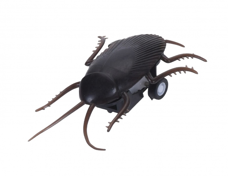 wind-up figure cockroach 10 cm
