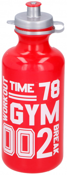 drinking bottle Workout 750 ml polyethene red
