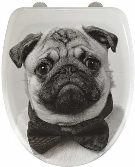 Wenko WC sedátko Pugy 38 x 45 cm duroplast biela/sivá