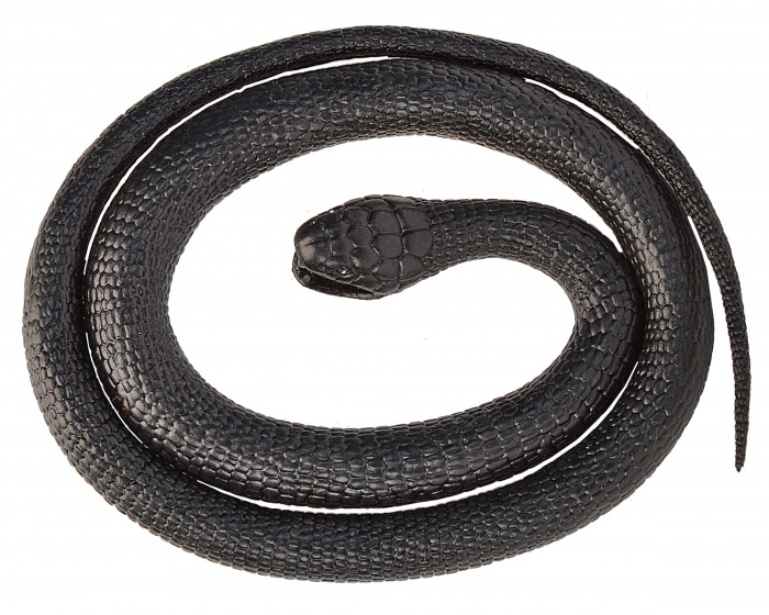 Wild Republic hadica Mamba junior 117 cm guma čierna