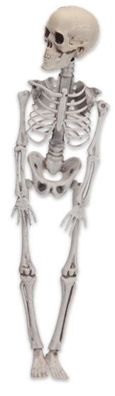 Witbaard kostra Halloween dekoračná 42 cm biela