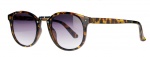 AMIGO zonnebril unisex cat.2 bruin turtle/smoke (AMM19107 B) AMIGO zonnebril unisex cat.2 bruin turtle/smoke (AMM19107 B)