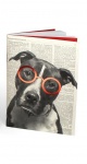 Arbos schrift pitbull 12x17 cm Arbos schrift pitbull 12x17 cm