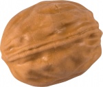 Brunnen gum Walnoot 4 x 3 cm junior bruin Brunnen gum Walnoot 4 x 3 cm junior bruin