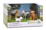 Collecta honden: speelset in giftverpakking 4-delig divers Collecta honden: speelset in giftverpakking 4-delig divers